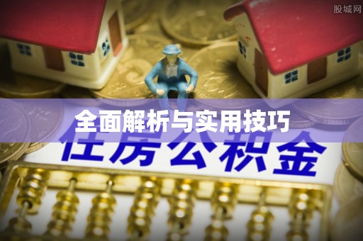 武山全面解析与实用技巧