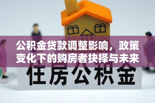 武山公积金贷款调整影响，政策变化下的购房者抉择与未来趋势