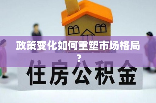 武山政策变化如何重塑市场格局？