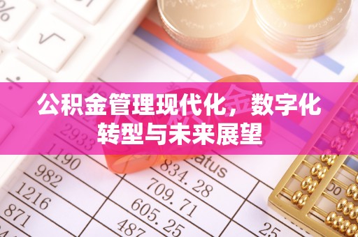 武山公积金管理现代化，数字化转型与未来展望