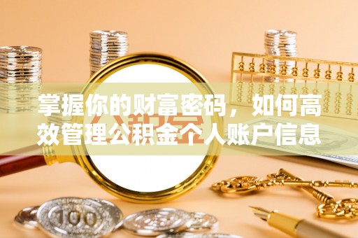武山掌握你的财富密码，如何高效管理公积金个人账户信息