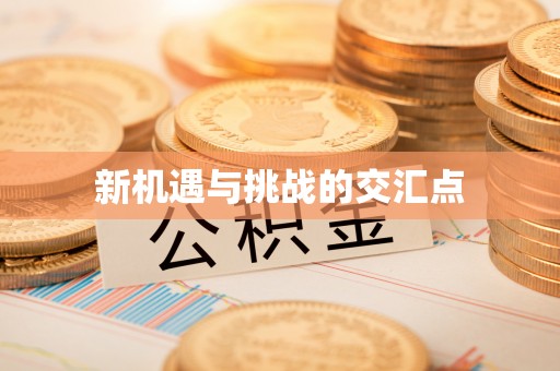 武山新机遇与挑战的交汇点