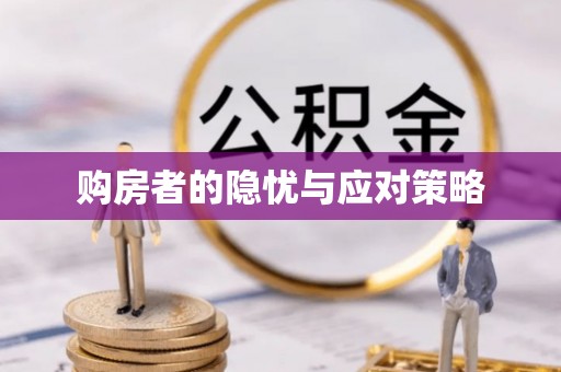 武山购房者的隐忧与应对策略