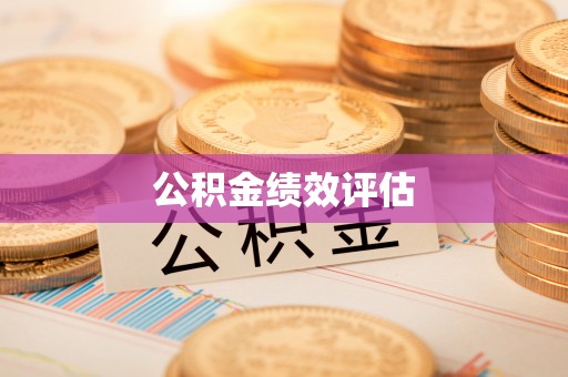 武山公积金绩效评估