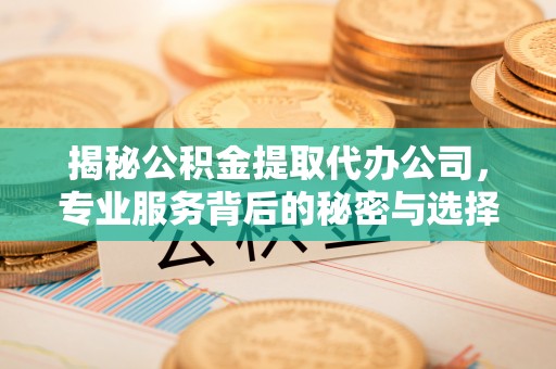 武山揭秘公积金提取代办公司，专业服务背后的秘密与选择指南