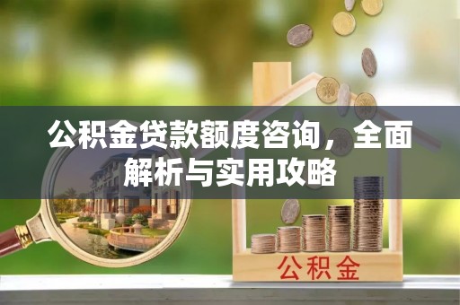 武山公积金贷款额度咨询，全面解析与实用攻略