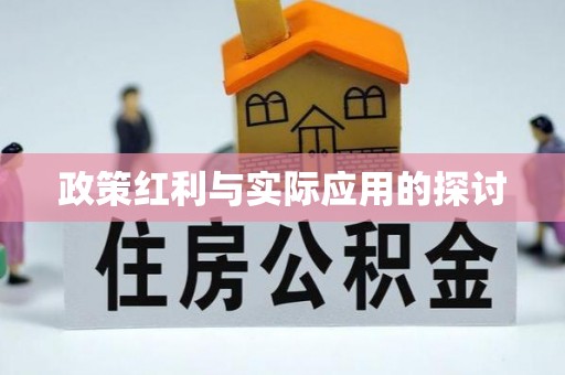 武山政策红利与实际应用的探讨