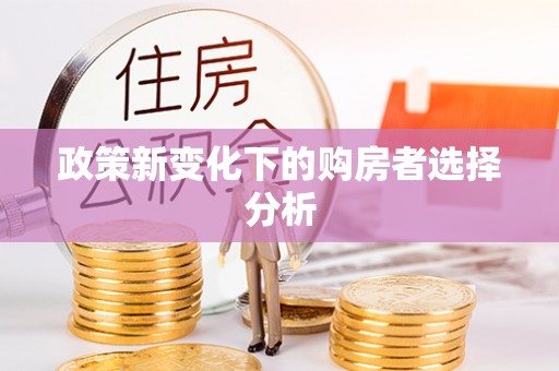 武山政策新变化下的购房者选择分析