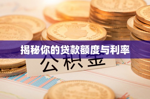 武山揭秘你的贷款额度与利率