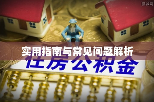 武山实用指南与常见问题解析