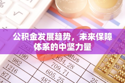 武山公积金发展趋势，未来保障体系的中坚力量