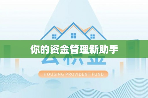 武山你的资金管理新助手