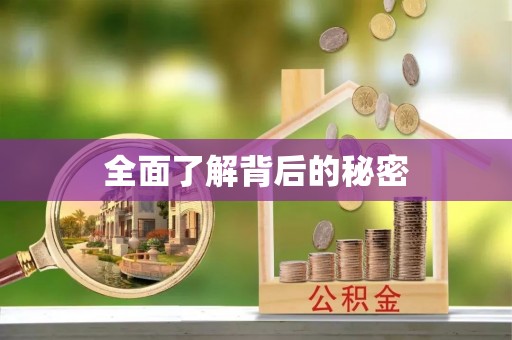 武山全面了解背后的秘密