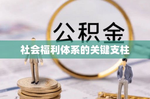 武山社会福利体系的关键支柱