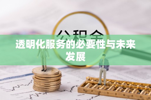 武山透明化服务的必要性与未来发展
