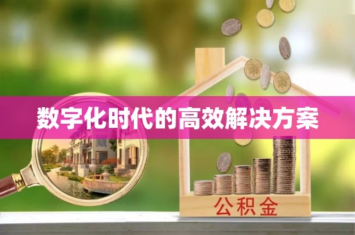 武山数字化时代的高效解决方案
