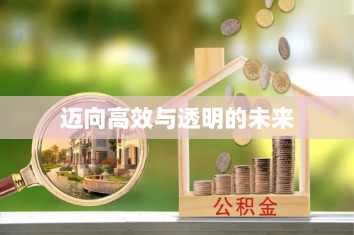 武山迈向高效与透明的未来