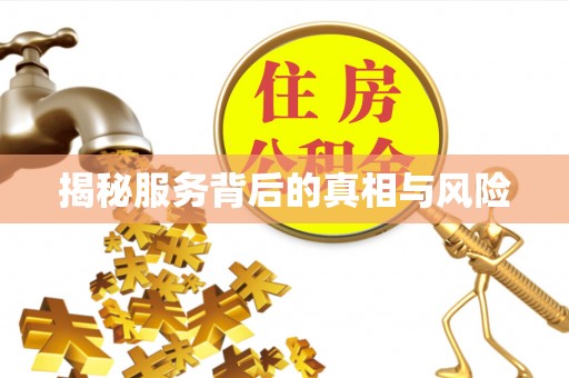 武山揭秘服务背后的真相与风险