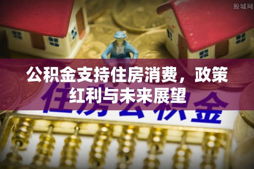 武山公积金支持住房消费，政策红利与未来展望