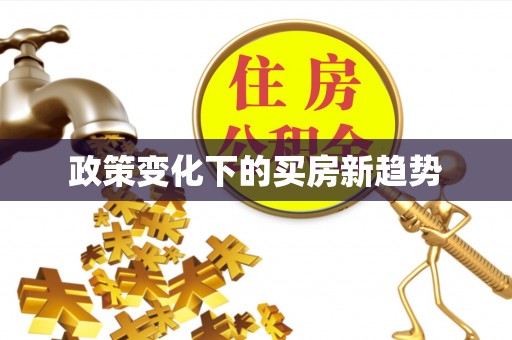 武山政策变化下的买房新趋势