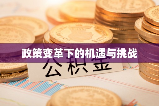 武山政策变革下的机遇与挑战
