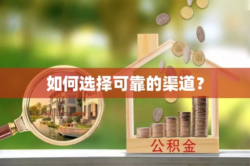 武山如何选择可靠的渠道？