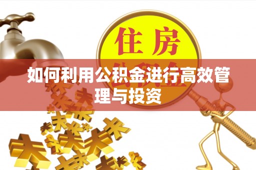 武山如何利用公积金进行高效管理与投资