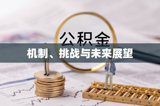 武山机制、挑战与未来展望