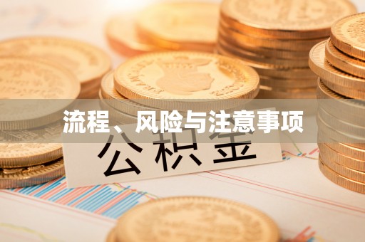 武山流程、风险与注意事项