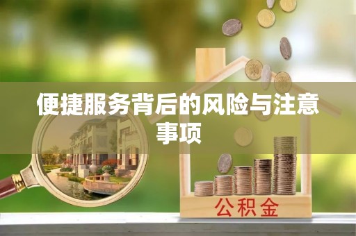 武山便捷服务背后的风险与注意事项